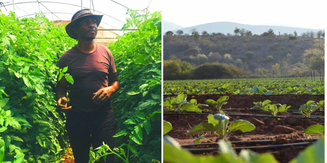 Kgapane Phillip is a grower of note, dedicated to providing his environment with a variety of fresh produce grown with pride. Photo: Supplied/Food For Mzansi
