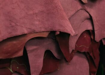 Processing a hide or skin can make money roll in