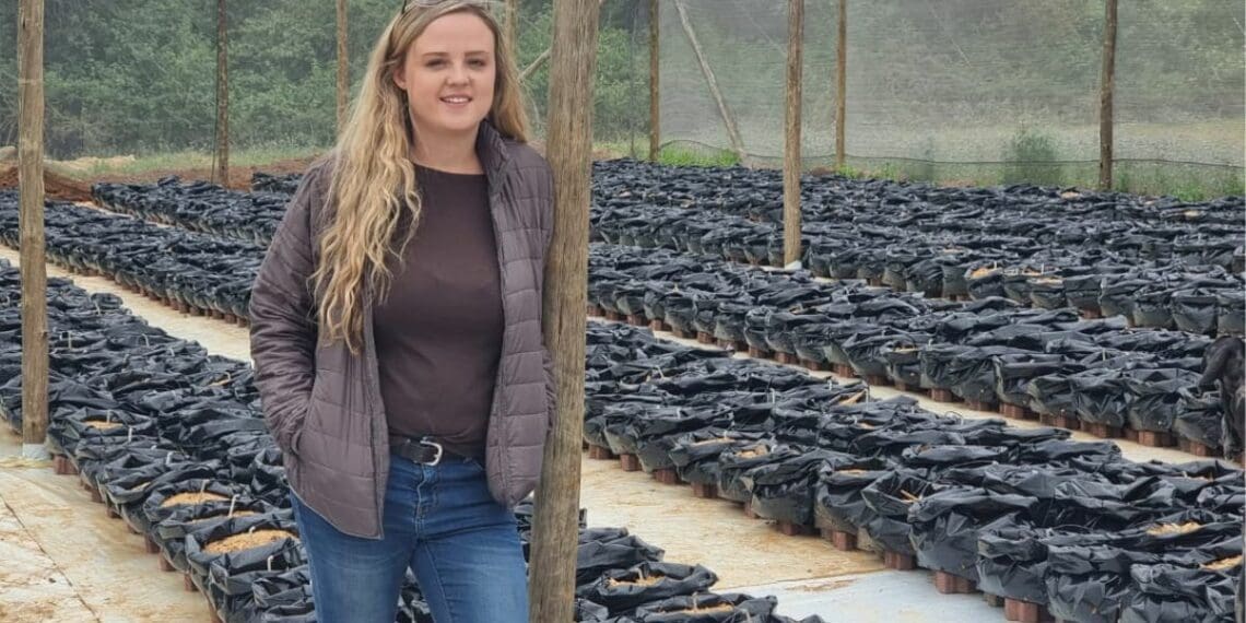Ika Cronje has just completed her move to hydroponic farming and her operation is thriving. Photo: Supplied/Food For Mzansi