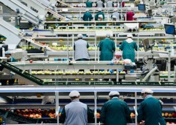 Agro-processing fundamentals from the fruit industry