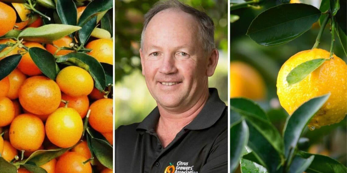 Justin Chadwick, CEO of the Citrus Growers Association of Southern Africa, has been re-elected as co-chairperson of the World Citrus Organisation. Photo: Supplied/Food For Mzansi