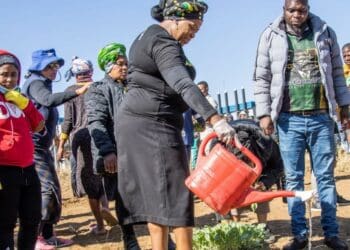 Public servants sow good deeds across Mzansi