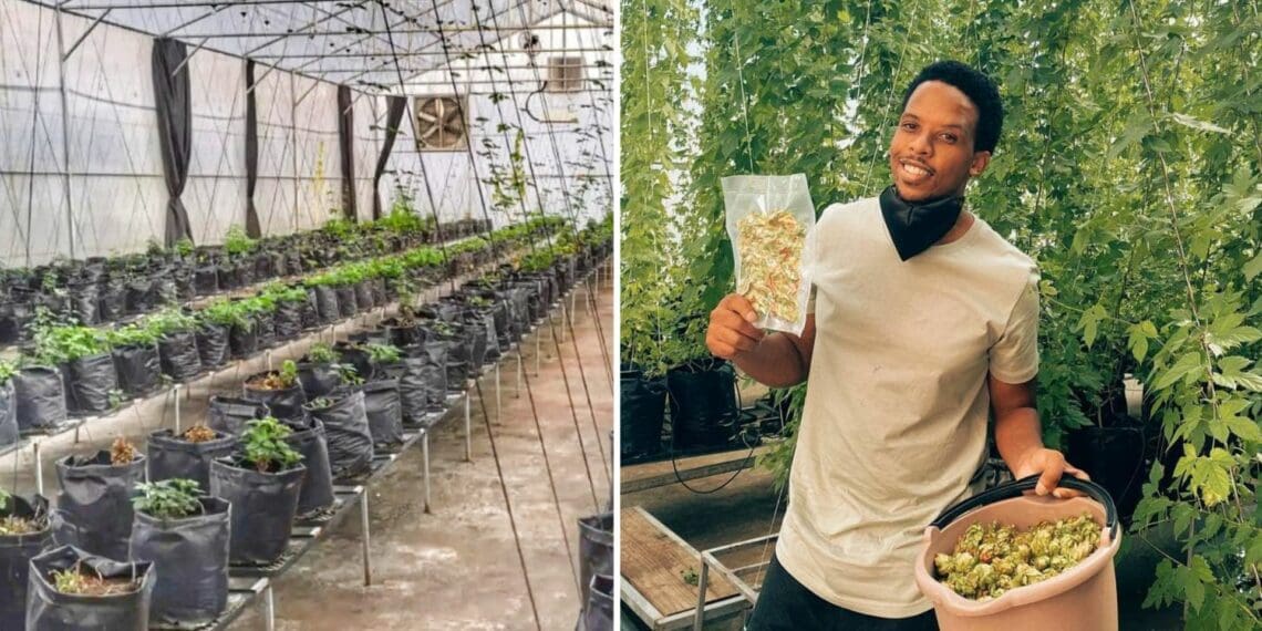Khaya Maloney believes he has what it takes to make a mark in the agriculture sector, especially in hop-farming. Picture. Supplied/Food For Mzansi.
