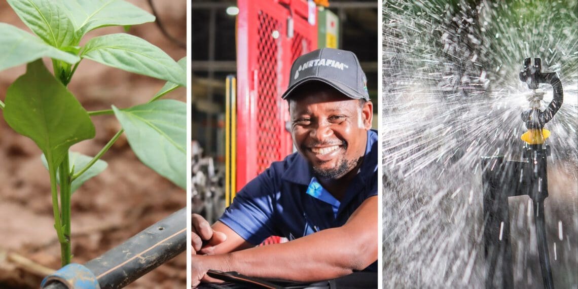 Netafim has been bringing irrigation solutions to South African farmers for the past three decades. Photos: Supplied/Food For Mzansi