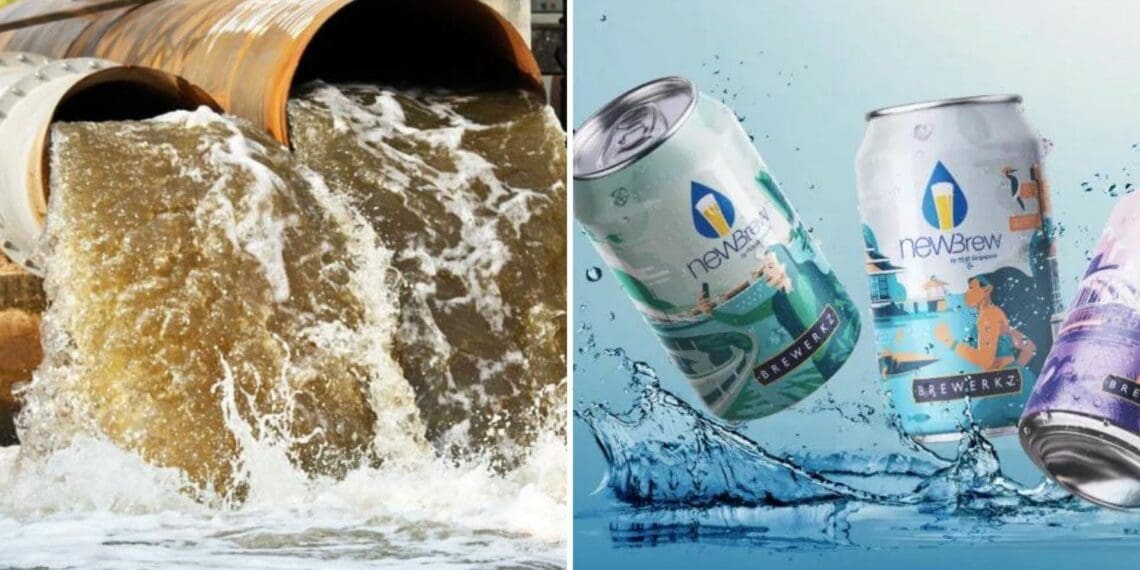 Beer is a popular drink, but to make it you need a critical ingredient: clean water. This beer company use sewage water to make their beer. Photo: Supplied/Food For Mzansi