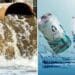 Beer is a popular drink, but to make it you need a critical ingredient: clean water. This beer company use sewage water to make their beer. Photo: Supplied/Food For Mzansi