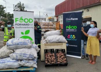Archive photo. OneFarm Share distributes excess food from farms to hungry South Africans through reputable distribution partners such as FoodForward SA. Agri SA is now on board to get more produce into the network. Photo: Supplied/FoodForward SA