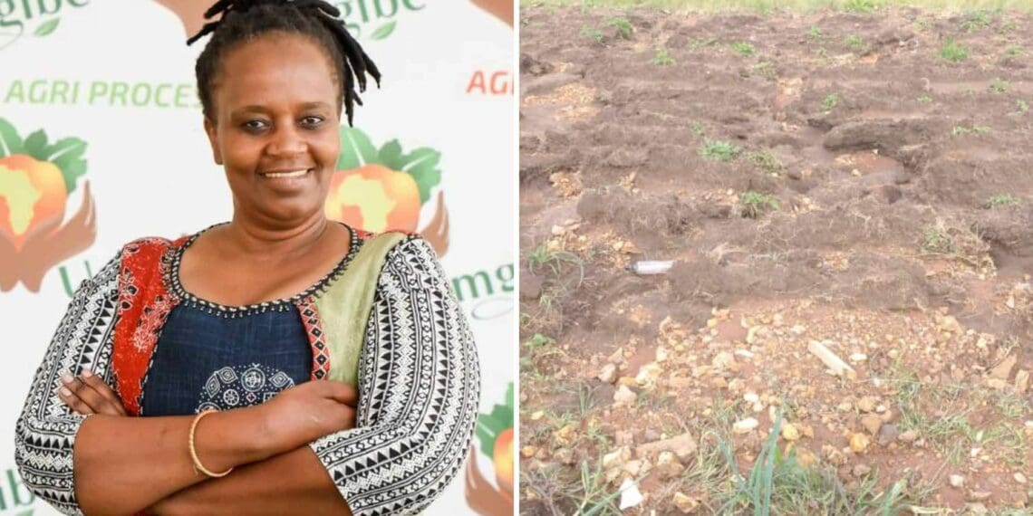 Nonhlanhla Joye had to watch her investment of hundreds of thousands of rand, and a potential income into the millions, get drenched in water. Photos: Supplied/Food For Mzansi