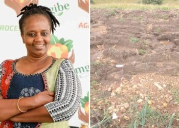 Nonhlanhla Joye had to watch her investment of hundreds of thousands of rand, and a potential income into the millions, get drenched in water. Photos: Supplied/Food For Mzansi