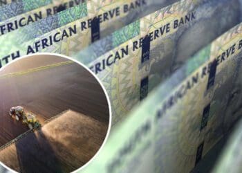 Farmers are navigating through a record-high input environment and the outlook on interest rates is worsening. Photos: Supplied/Food For Mzansi