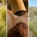 The San and Khoi communities of South Africa are recognised as the holders of traditional knowledge on rooibos. As a signatory to the Nagoya Protocol, South Africa is committed to benefit sharing for the holders of traditional knowledge. Photos: Supplied/SA Rooibos Council