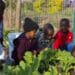 Some of the children with the ECD practitioner Yolanda Shabalala. Zero2Five Trust promotes holistic Early Childhood Development in formerly disadvantaged areas by improving learners’ health and education outcomes with nutrition and education programmes. Photo: Supplied/Zero2Five Trust