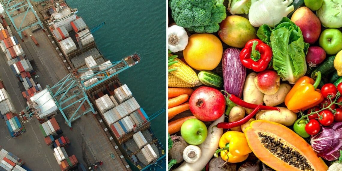 A global coalition has called on multinational bodies to intervene in the severe challenges food producers around the world are currently facing. Photos: Supplied/Food For Mzansi