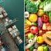 A global coalition has called on multinational bodies to intervene in the severe challenges food producers around the world are currently facing. Photos: Supplied/Food For Mzansi