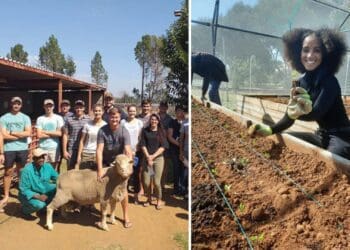 The University of the Free State established both a dairy and a wool processing unit at its Paradys experimental farm. There are also Irrigation tunnels on the farm which helps in the study of vertical farming. Photo: Supplied/Food For Mzansi