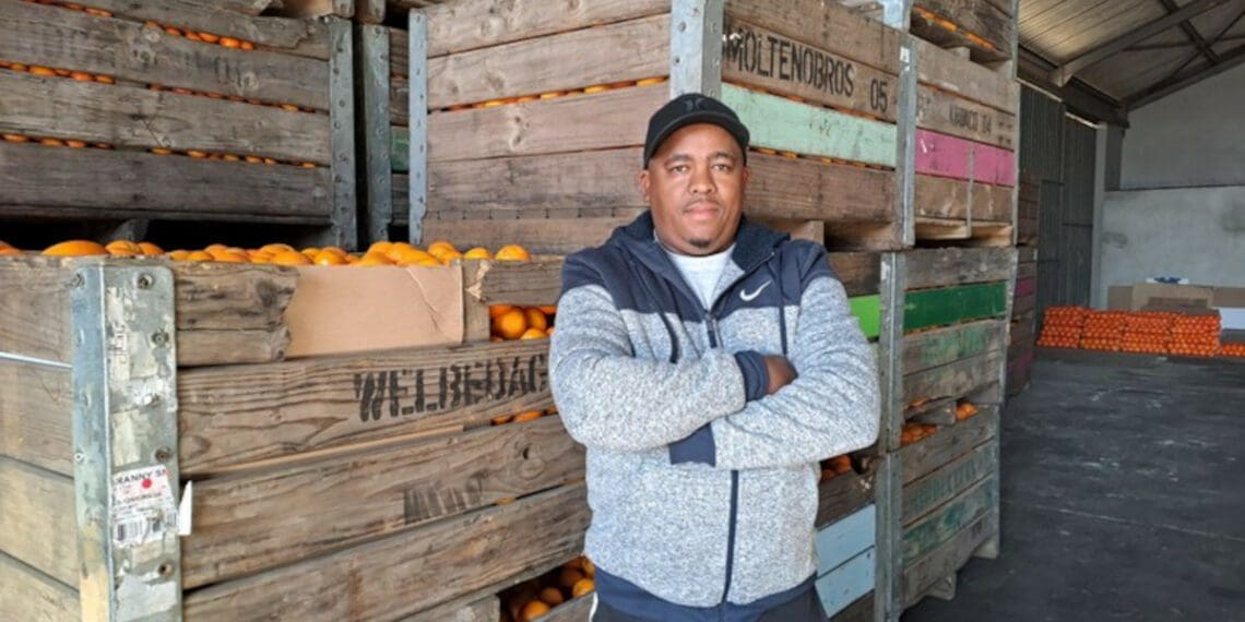 Albert Klaase grows citrus and other vegetables on a section of Proefplaas. He also uses this big storeroom on the property, which he says he fixed up with his own money. Photo: Liezl Human/GroundUp