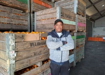 Albert Klaase grows citrus and other vegetables on a section of Proefplaas. He also uses this big storeroom on the property, which he says he fixed up with his own money. Photo: Liezl Human/GroundUp