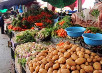 Namibia and Botswana have barred some South African vegetable crops from crossing their borders. Photo: Supplied/Food For Mzansi