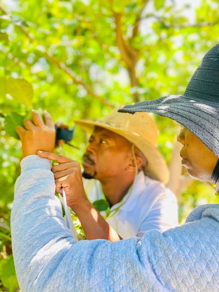 Participating youth obtained a NQF Level 4 qualification. Photo: Supplied/Citrus Academy