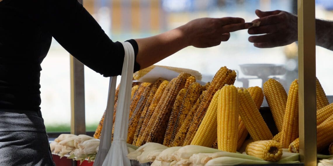 The value of South Africa’s informal farming sector is understated, experts say, and many farmers say that they prefer trading to this segment of the economy. Photo: Supplied/Food For Mzansi