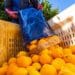 ICYMI: CGA illuminates path ahead for black citrus growers