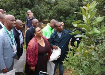 Agri minister Thoko Didiza and other officials took a tour of some of the farming operations as part of a ceremony to hand over title deeds to successful land claimants in KwaZulu-Natal. Photo: Supplied/Food For Mzansi