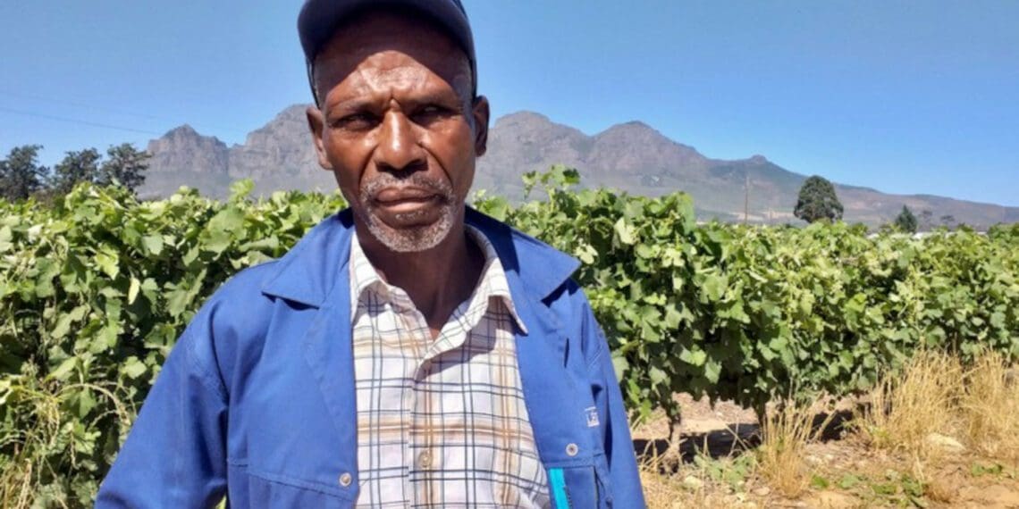The Western Cape High Court has ruled in favour of Eric Lolo who went to court to hold the Drakenstein Municipality accountable for emergency housing for people evicted from farms. Photo: Barbara Maregele/GroundUp