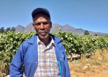The Western Cape High Court has ruled in favour of Eric Lolo who went to court to hold the Drakenstein Municipality accountable for emergency housing for people evicted from farms. Photo: Barbara Maregele/GroundUp