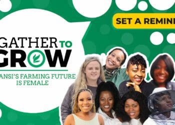 This week’s agri events calendar features considerations for choosing your farm business structure, an Open Range Beefmaster production sell-off, and a strategic farming series webinar are also included. The Agrico virtual conference, followed by the annual Kragdag Expo top it off. Photo: Supplied/Food For Mzansi