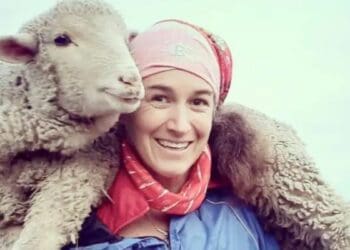 Setting up a regenerative smallholding