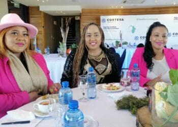 #SoilSistas are doing it for themselves