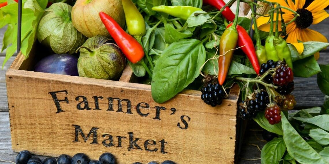 We chat with four established farmers for their advice on how to limit barriers to market access. Photo: Supplied/Food For Mzansi