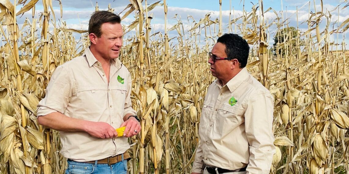 “Die Kragspan" was formed through an alliance between InteliGro and VKB and came out of a need for sustainability in the commercial farming sector. Photo: Supplied/Food For Mzansi