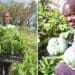 His life took a turn for the worst when he ended up in jail for dealing in drugs, but Thembinkosi Matika turned his life around and now helps others through his Legacy Farming Project. Photo: Supplied/Food For Mzansi
