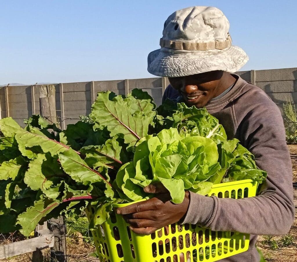 “I experienced my breakthrough when I spent a whole weekend in a jail cell. I realised selling drugs was not the kind of life I wanted to live," Thembinkosi Matika, farmer and founder of Legacy Farming Project. Photo: Supplied/Food For Mzansi