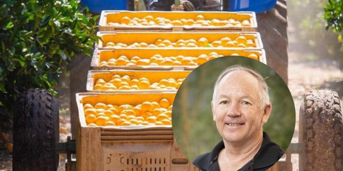 Justin Chadwick, the CEO of the Citrus Growers Association of South Africa, gives an exclusive step-by-step of how the industry is working through a nightmarish situation with exports to Europe. Photo: Supplied/Food For Mzansi