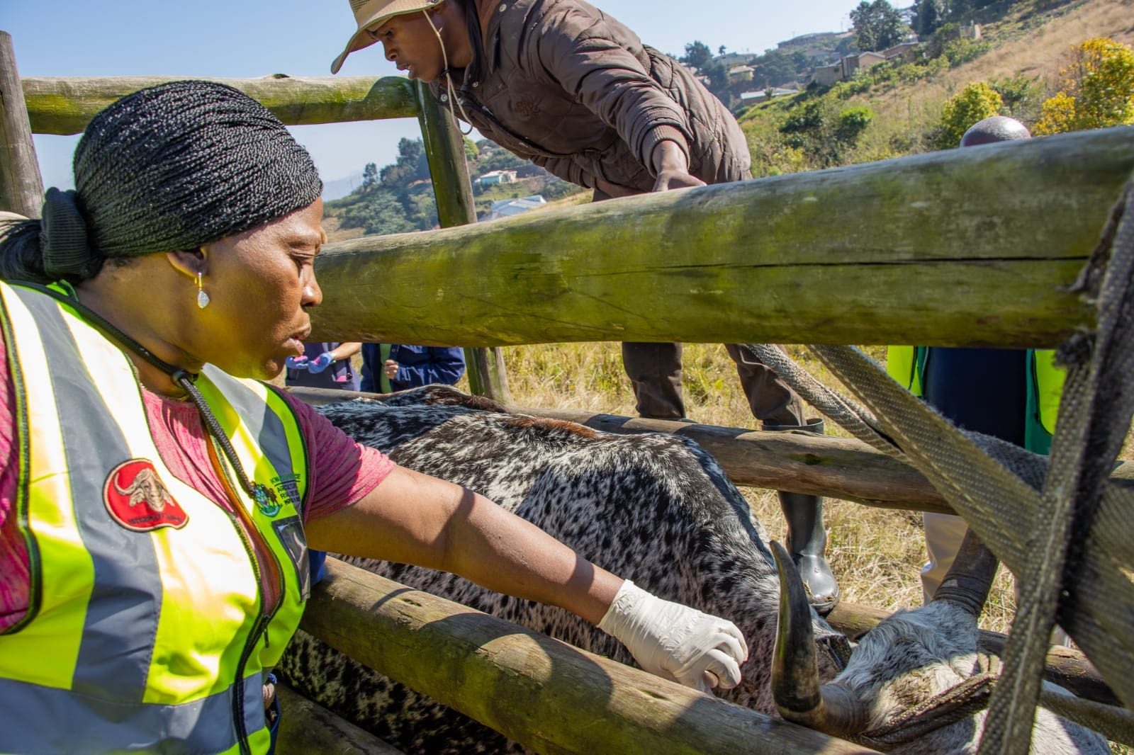 Highlights from the eThekwini campaign on Tuesday. Photos: Supplied/Food For Mzansi