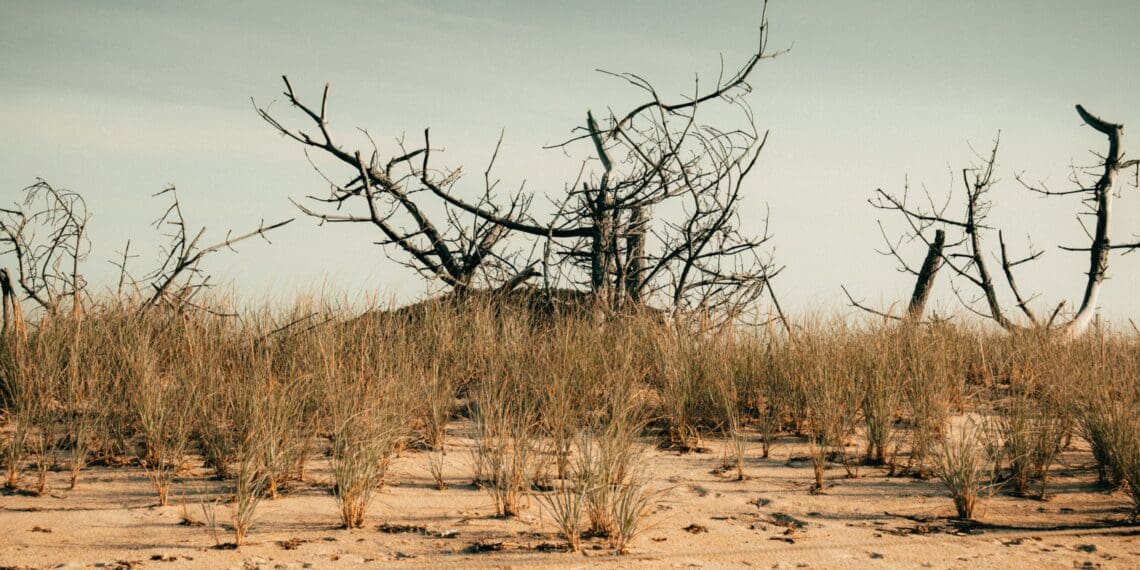 African expectations run low as COP28 kicks off in Dubai