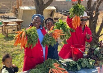 Refiloe Molefe has vowed to build a new urban farm after the City of Johannesburg bulldozed the site she built in Bertrams. Photo: Supplied/GroundUp