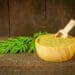 Moringa has capabilities that include many cosmetic uses, as well as the ability to boost soil fertility. Photo: Pixabay