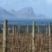 Ecological farming the answer to food insecurity