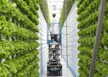 Vertical farming: CAN-Agri in Pretoria is a vertical, hydroponic, greenhouse farm and producer of superior quality organic foods. The farm offers an efficient, highly scalable urban vertical farming solution. Photo: Supplied/Food For Mzansi