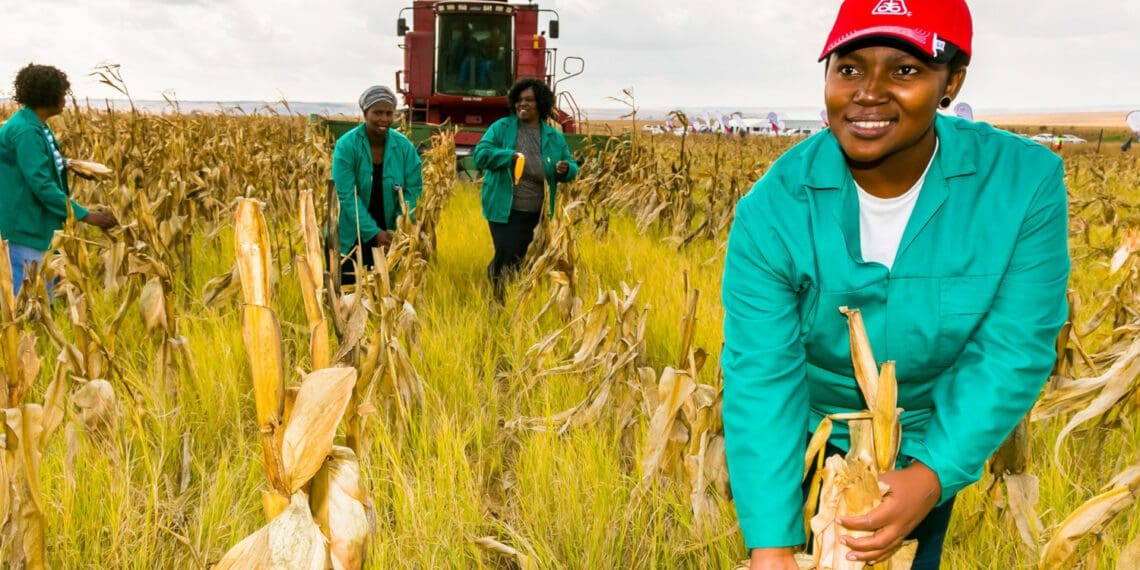 Food security starts at farm level, and farm productivity was a main theme at an international event for agri leaders. Photo: Supplied/Food For Mzansi