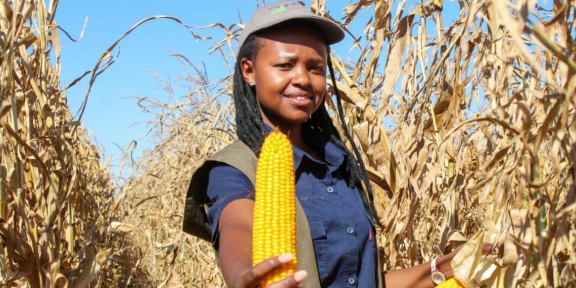 One of the biggest lessons FarmSol-supported farmer Njabulo Mbokane learnt so far is the need to be prepared for the next season. “You need to be ready for anything and learn from your past mistakes to better deal with future challenges,” she says. Photo: Supplied/Food For Mzansi