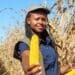 One of the biggest lessons FarmSol-supported farmer Njabulo Mbokane learnt so far is the need to be prepared for the next season. “You need to be ready for anything and learn from your past mistakes to better deal with future challenges,” she says. Photo: Supplied/Food For Mzansi