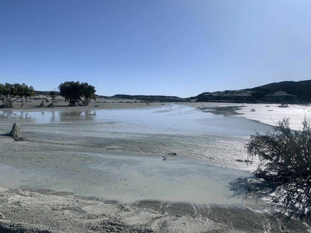 "I do not think that our authorities in the Free State or the country understand the environmental impact of the Jagersfontein sludge dam disaster," Free State DA leader wrote with this picture on social media. "Huge areas of farmland and water resources poisoned and sterile for who knows how long." Photo: Supplied/Roy Jankielsohn
