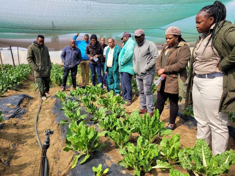 Mpumalanga farmers learning about conservation agriculture to maintain healthy soil. Photo: Supplied