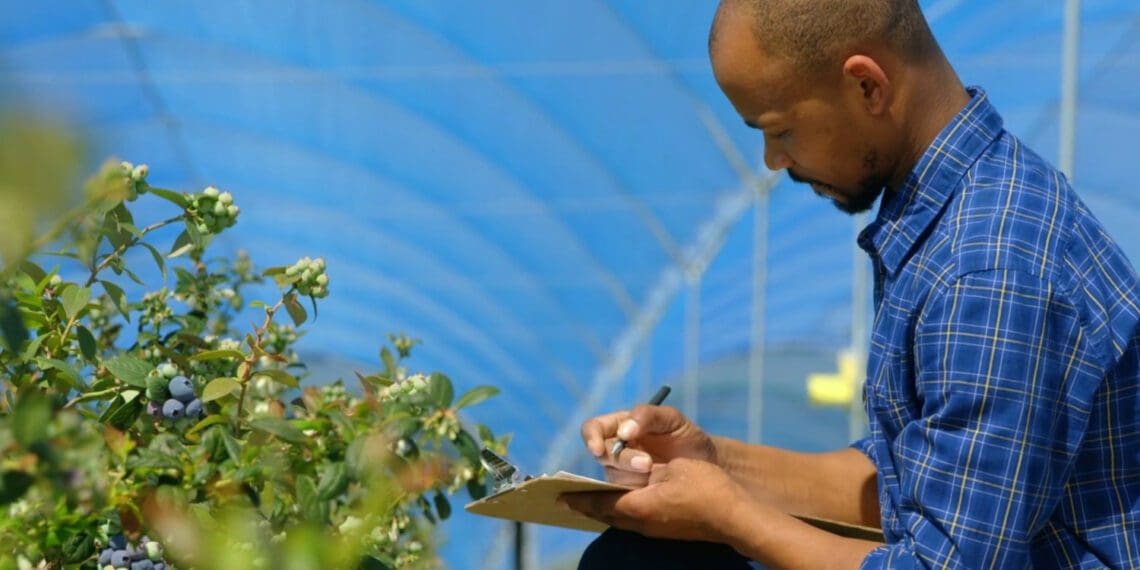 The Elsenburg Agricultural Training Institute in the Western Cape actively strives to produce workplace-ready students. Photo: Supplied