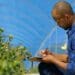 The Elsenburg Agricultural Training Institute in the Western Cape actively strives to produce workplace-ready students. Photo: Supplied