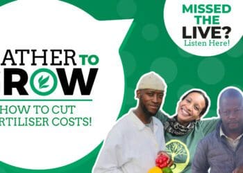 Thapelo Phiri, Organic fertiliser specialist, Stephanie Mullins, permaculture farmer from a Western Cape based NGO, Donald Zithulele Mdadane, and Daniel de Sousa, co-founder of The Farm Nearby. Photo: Supplied/Food For Mzansi